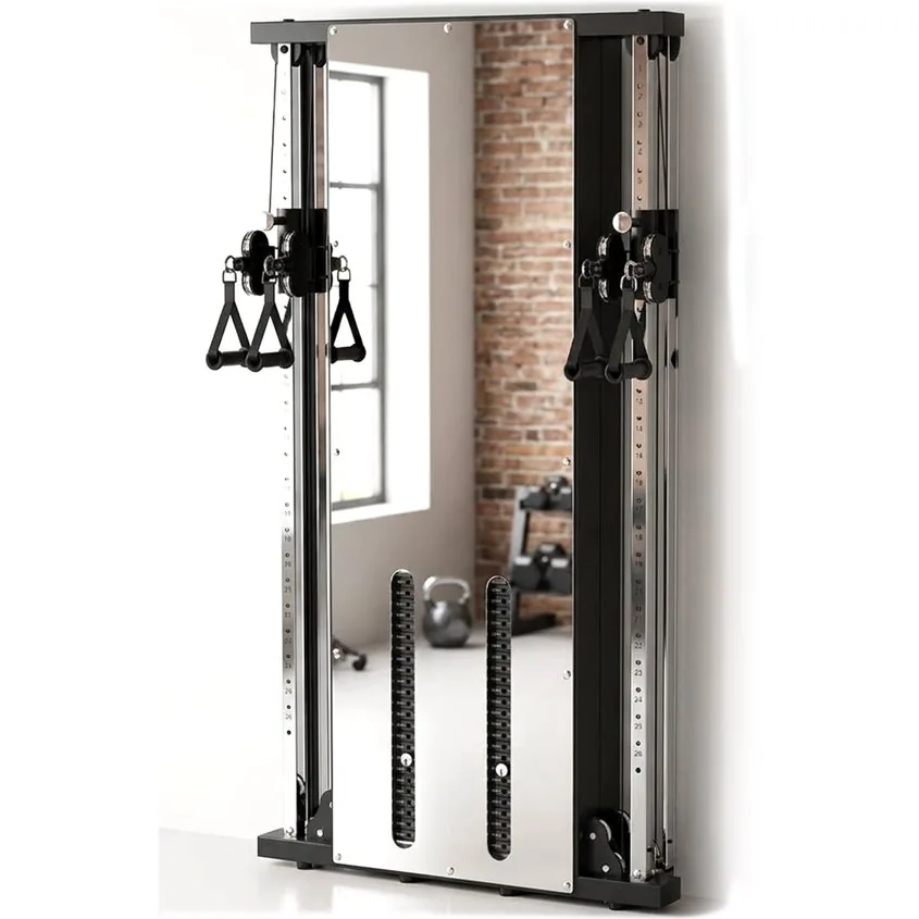 Master Fitness X23 Wallgym